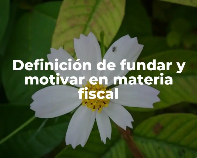 Definición de fundar y motivar en materia fiscal