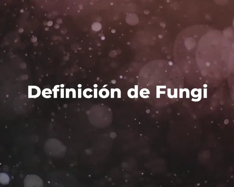 Definición de Fungi
