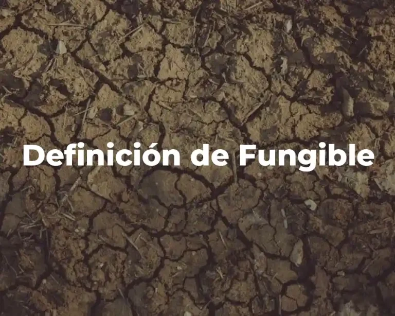 Definición de Fungible