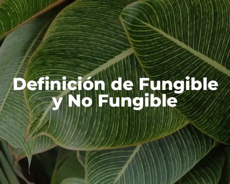 Definición de Fungible y No Fungible