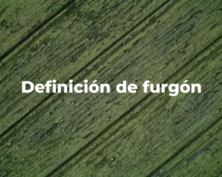 Definición de furgón