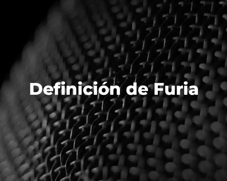 Definición de Furia