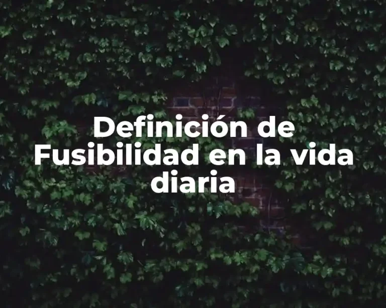 Definición de Fusibilidad en la vida diaria