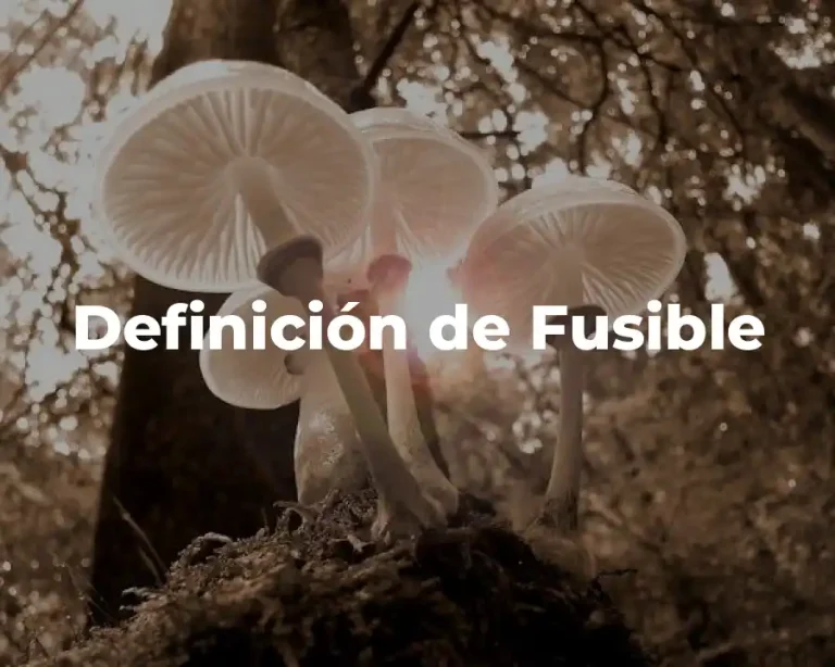 Definición de Fusible