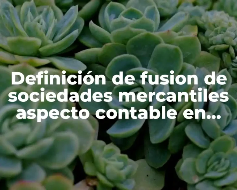 Definición de fusion de sociedades mercantiles aspecto contable en México