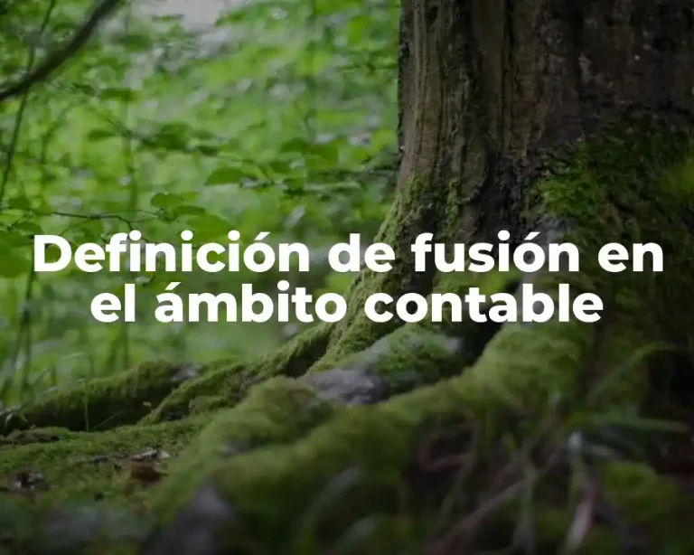 Definición de fusión en el ámbito contable