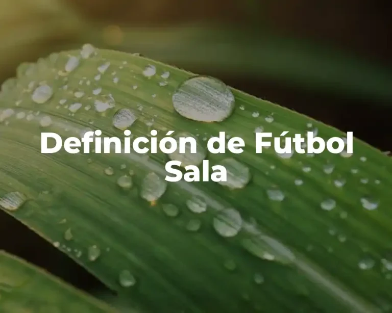 Definición de Fútbol Sala