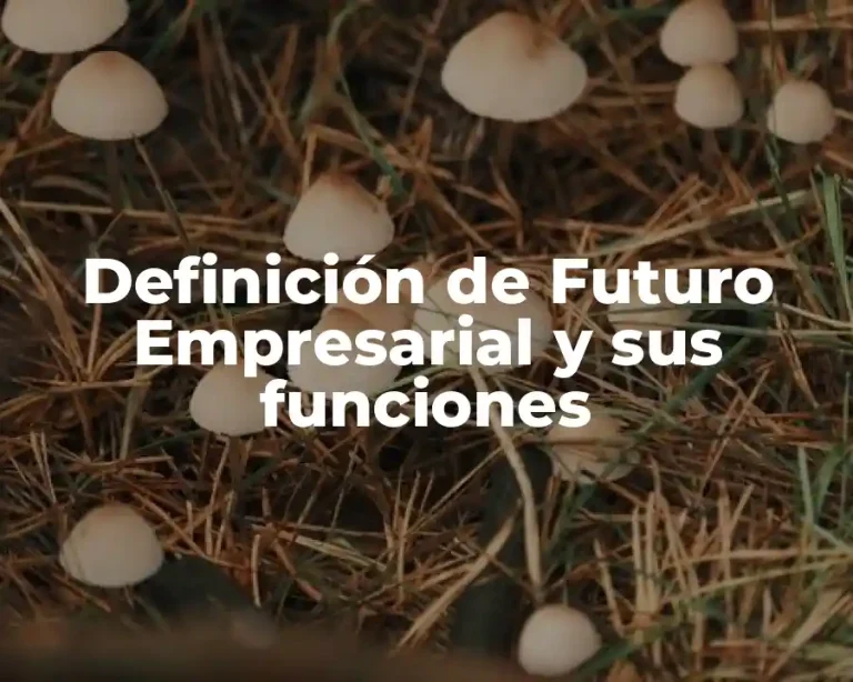 Definición de Futuro Empresarial y sus funciones