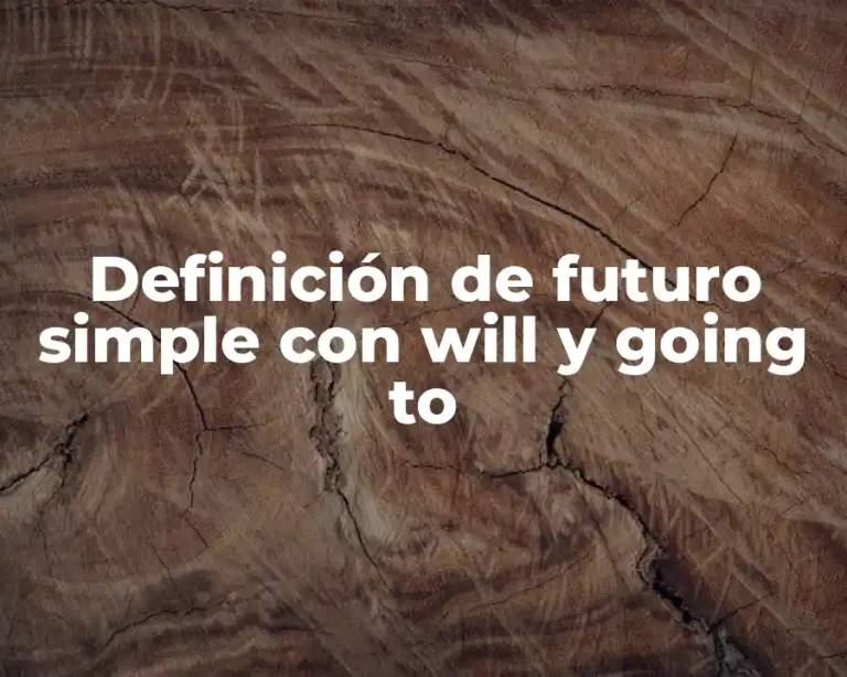 Definición de futuro simple con will y going to