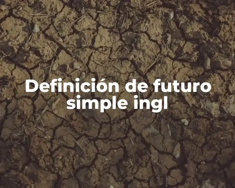 Definición de futuro simple ingl