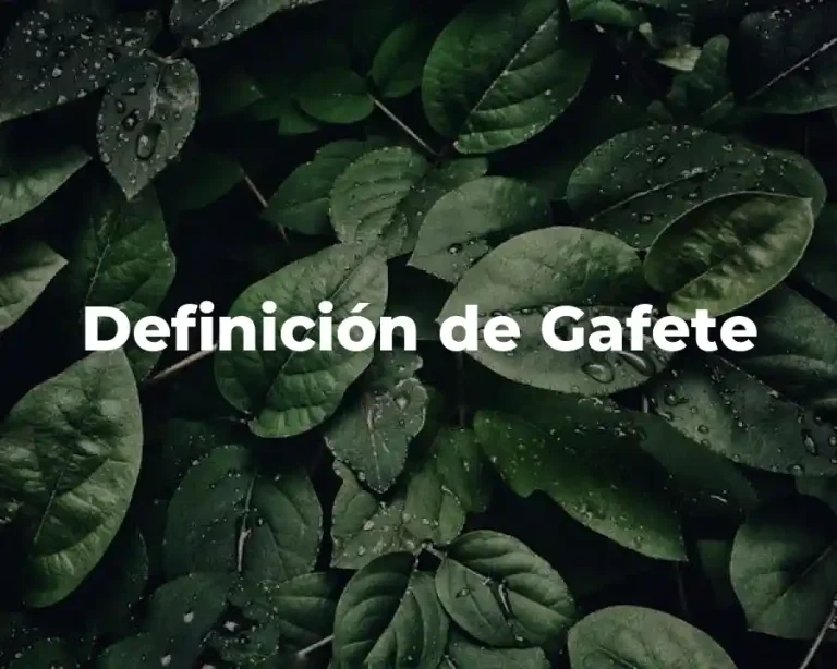 Definición de Gafete