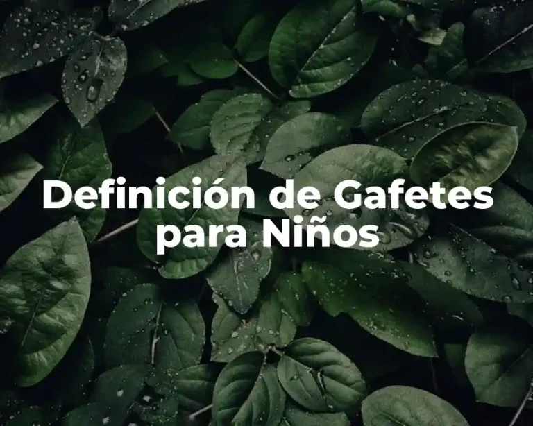 Definición de Gafetes para Niños