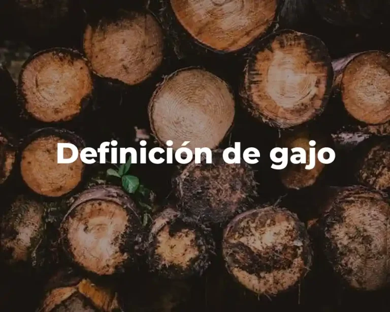Definición de gajo