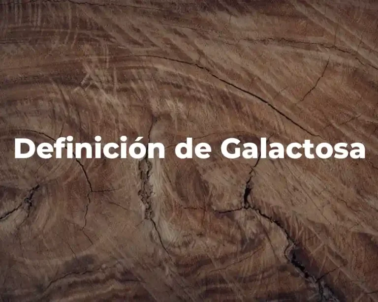 Definición de Galactosa