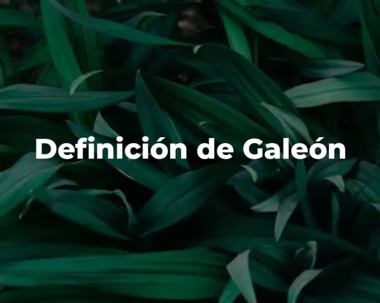 Definición de Galeón