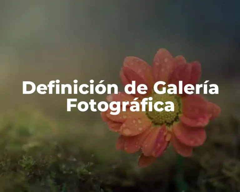 Definición de Galería Fotográfica