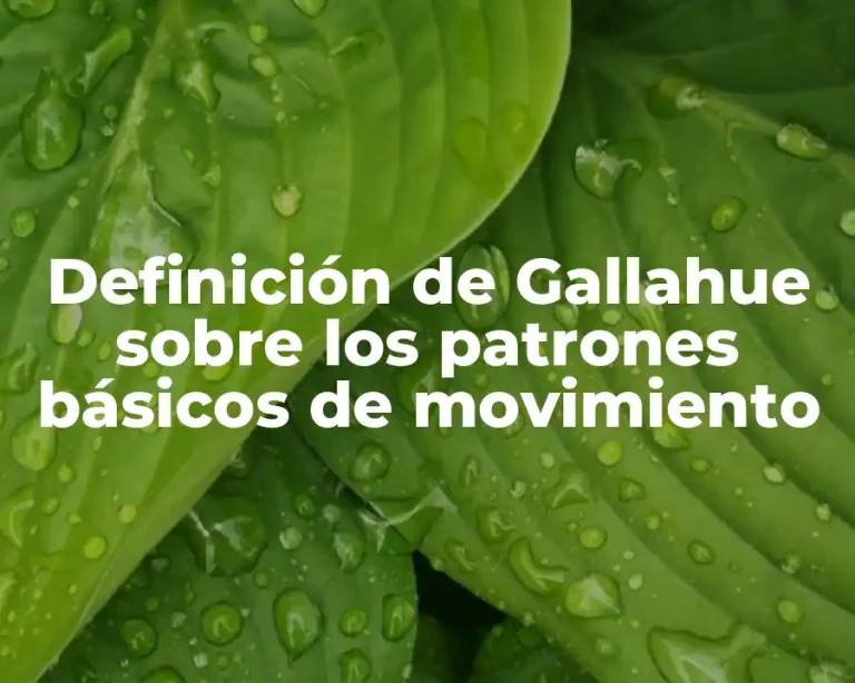 Definición de Gallahue sobre los patrones básicos de movimiento