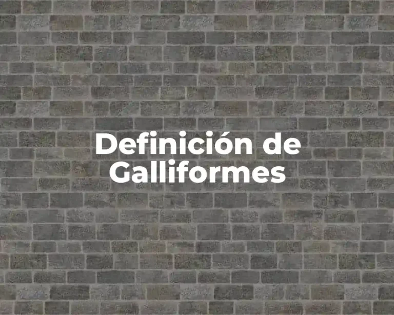 Definición de Galliformes