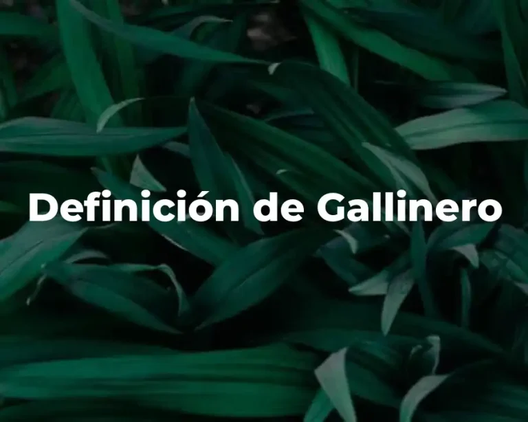 Definición de Gallinero