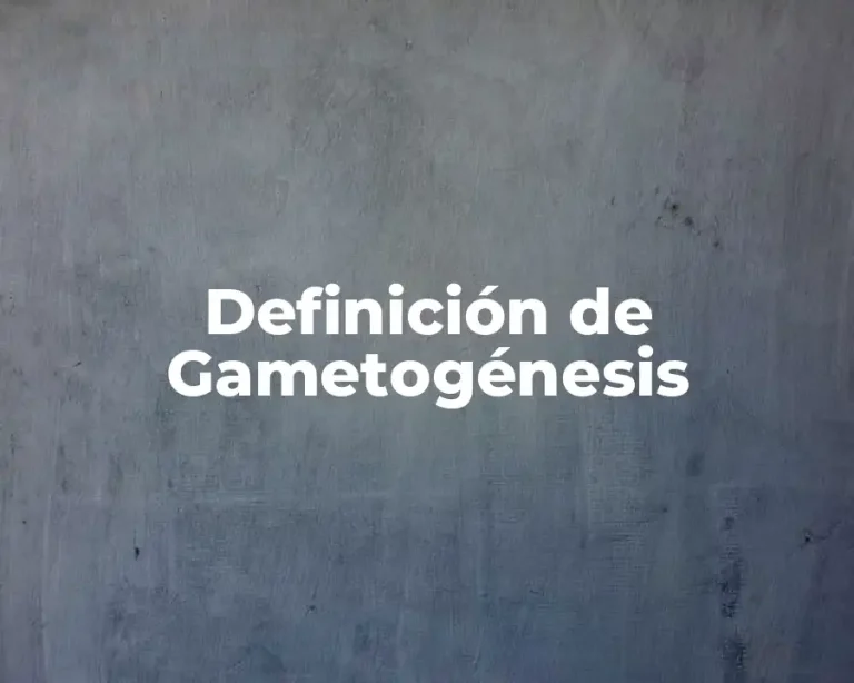 Definición de Gametogénesis
