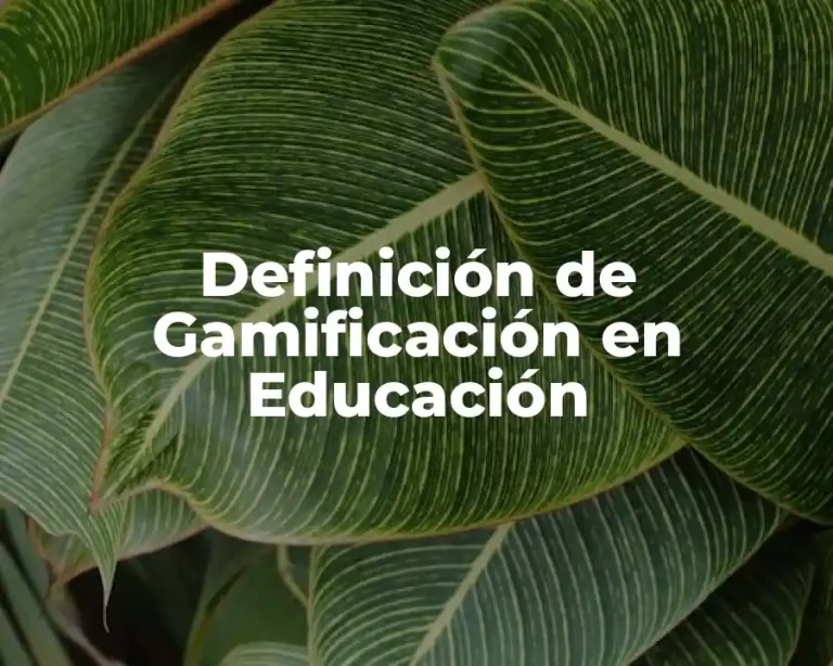Definición de Gamificación en Educación