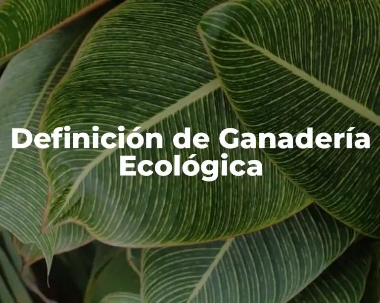 Definición de Ganadería Ecológica