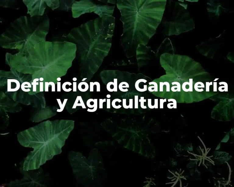 Definición de Ganadería y Agricultura