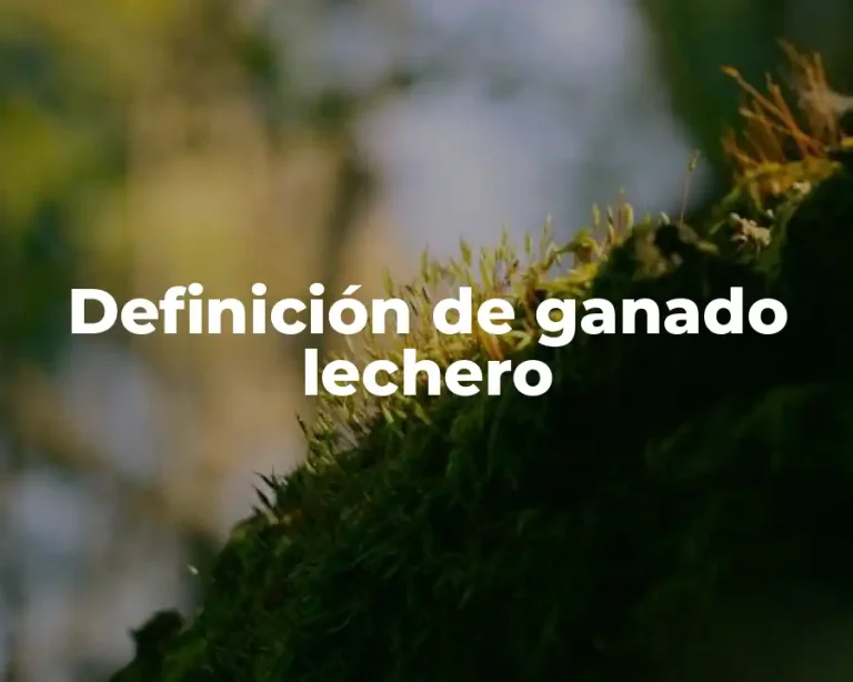 Definición de ganado lechero
