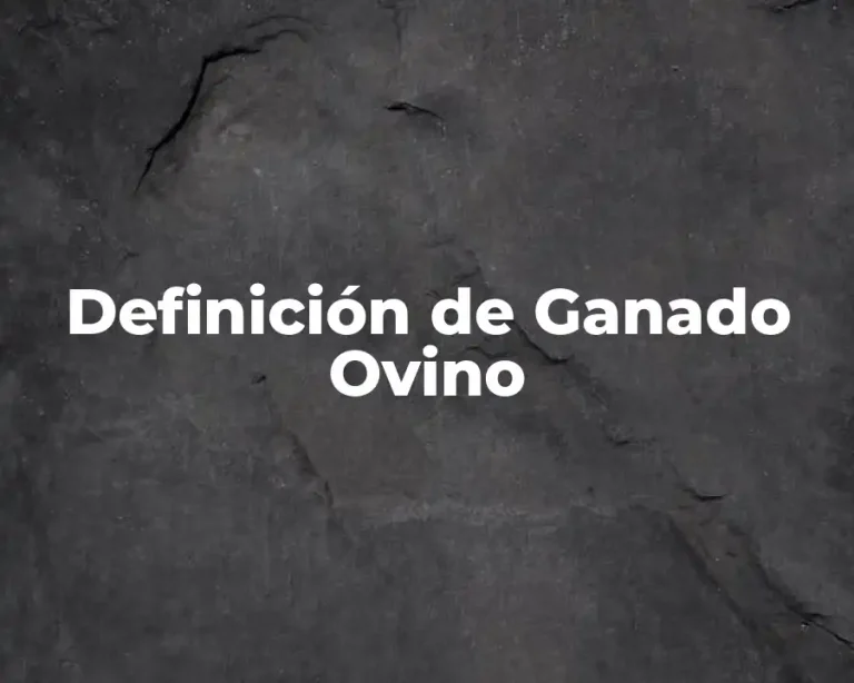 Definición de Ganado Ovino