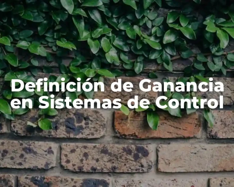 Definición de Ganancia en Sistemas de Control