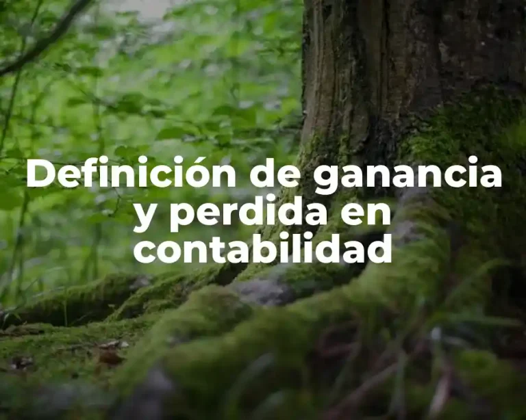 Definición de ganancia y perdida en contabilidad