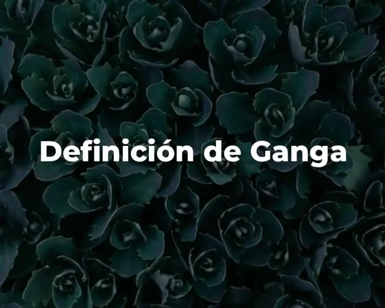 Definición de Ganga