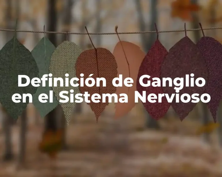 Definición de Ganglio en el Sistema Nervioso