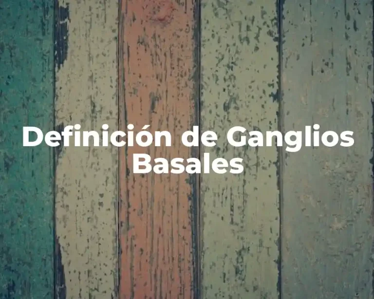 Definición de Ganglios Basales