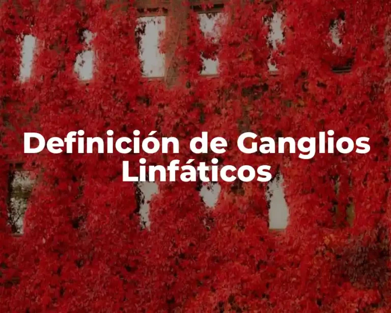 Definición de Ganglios Linfáticos