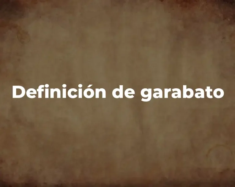 Definición de garabato