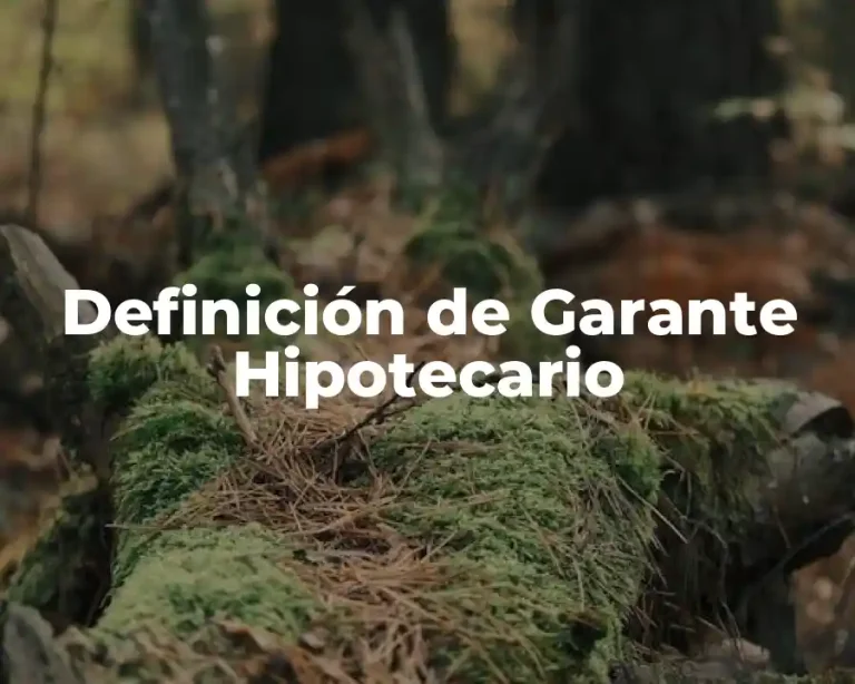 Definición de Garante Hipotecario