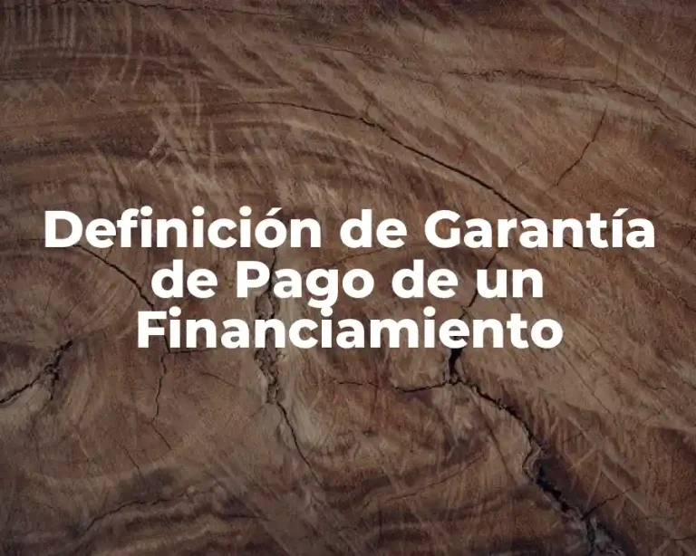 Definición de Garantía de Pago de un Financiamiento