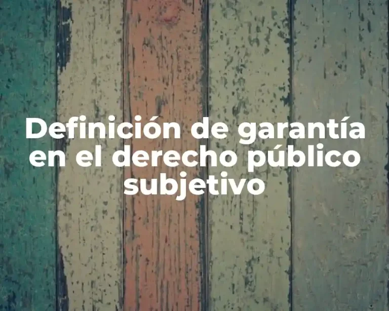Definición de garantía en el derecho público subjetivo