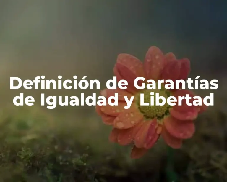 Definición de Garantías de Igualdad y Libertad