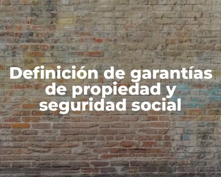 Definición de garantías de propiedad y seguridad social