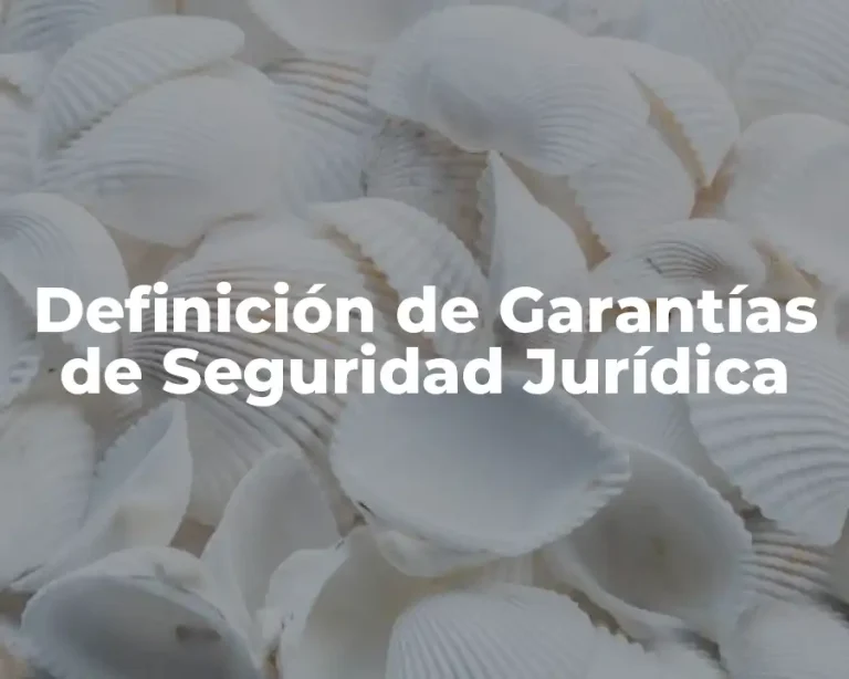 Definición de Garantías de Seguridad Jurídica