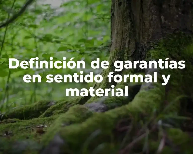 Definición de garantías en sentido formal y material