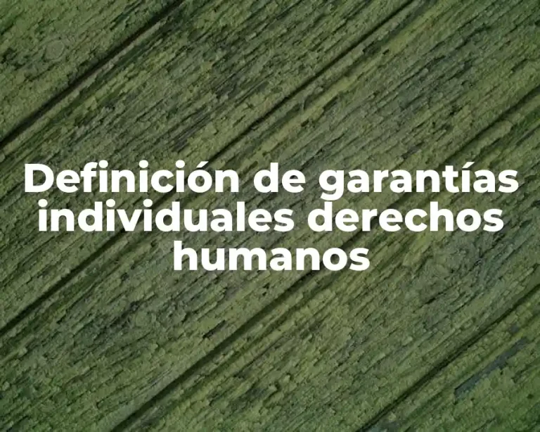Definición de garantías individuales derechos humanos