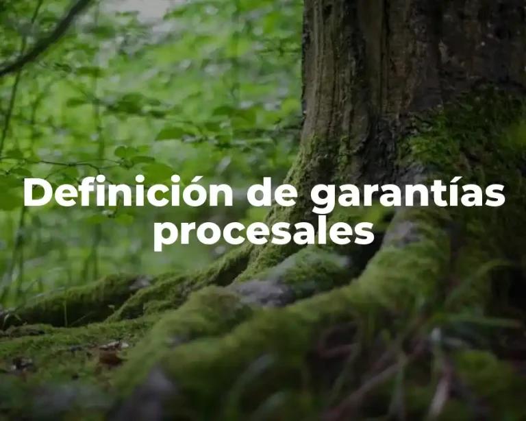 Definición de garantías procesales