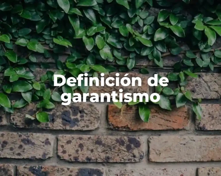 Definición de garantismo