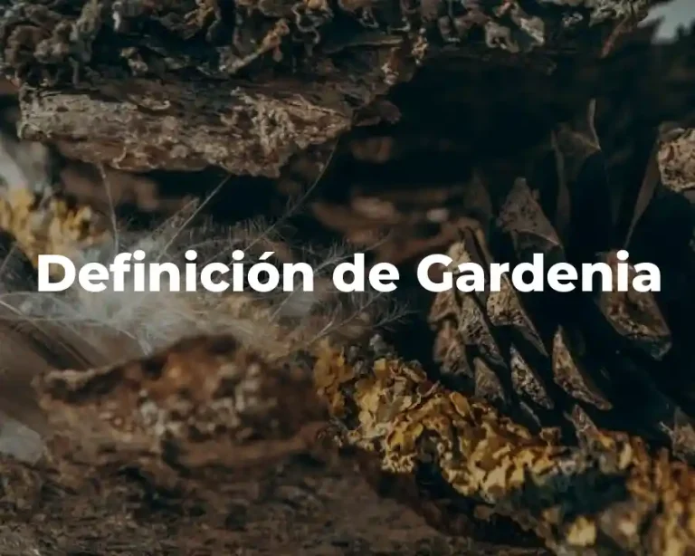 Definición de Gardenia