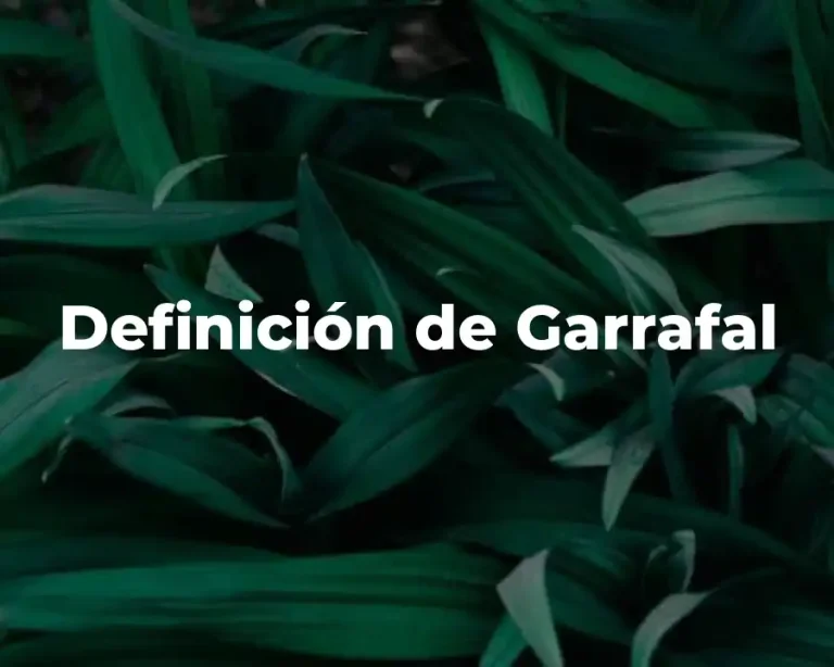Definición de Garrafal