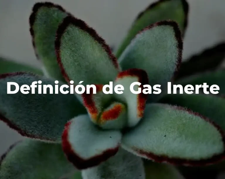 Definición de Gas Inerte