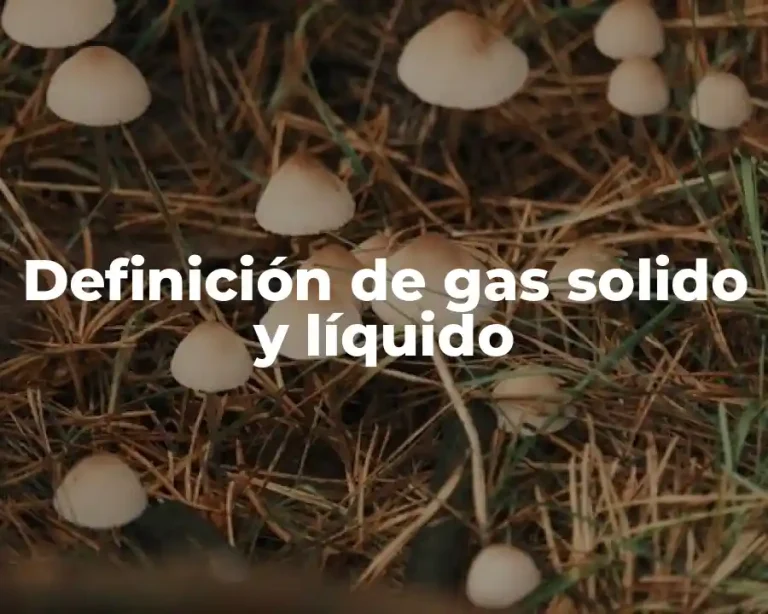 Definición de gas solido y líquido
